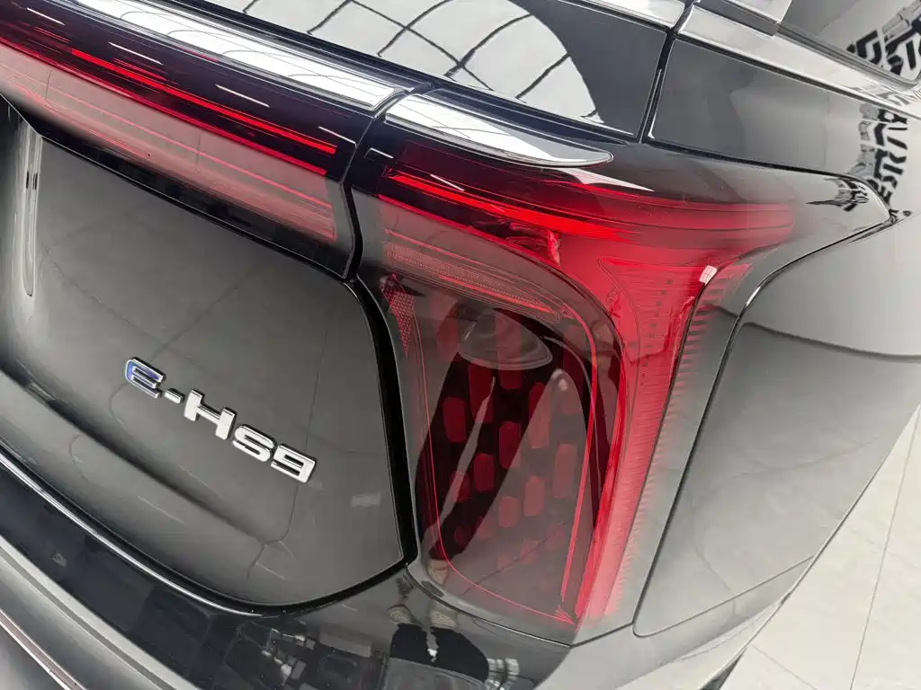Hongqi E-HS9 2023 2022 660km Qi Chang Edition (6-seater)