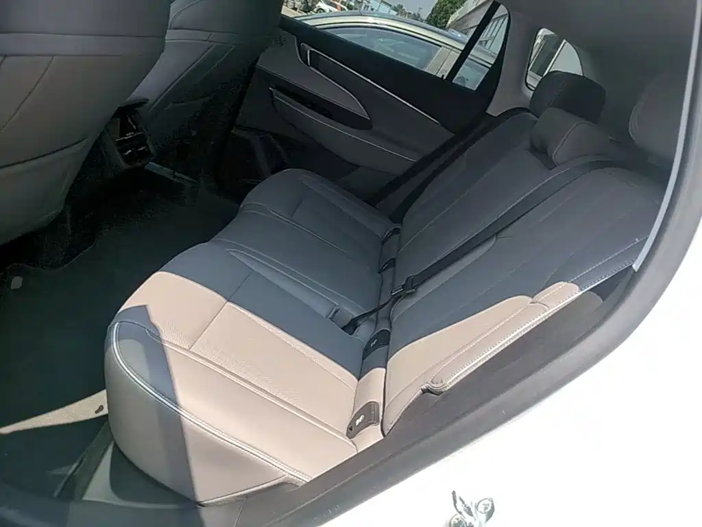 Photo 17 - Buick E5