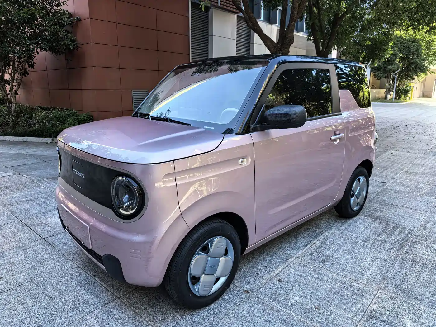 Geely Galaxy Panda 2023 2023 Panda Mini 200km Endurance Bear