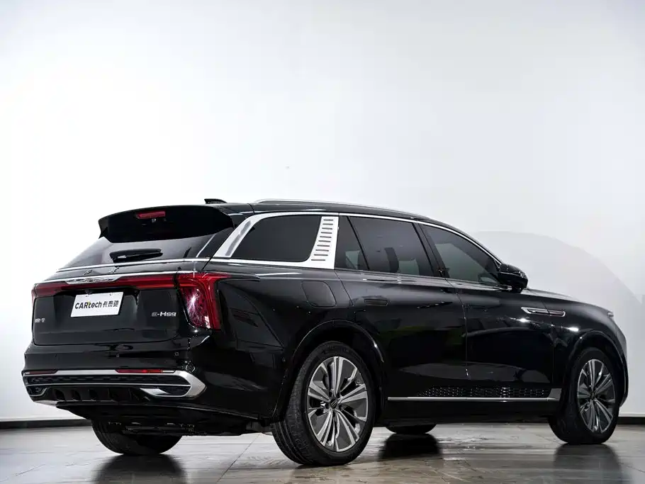 Photo 5 - Hongqi E-HS9