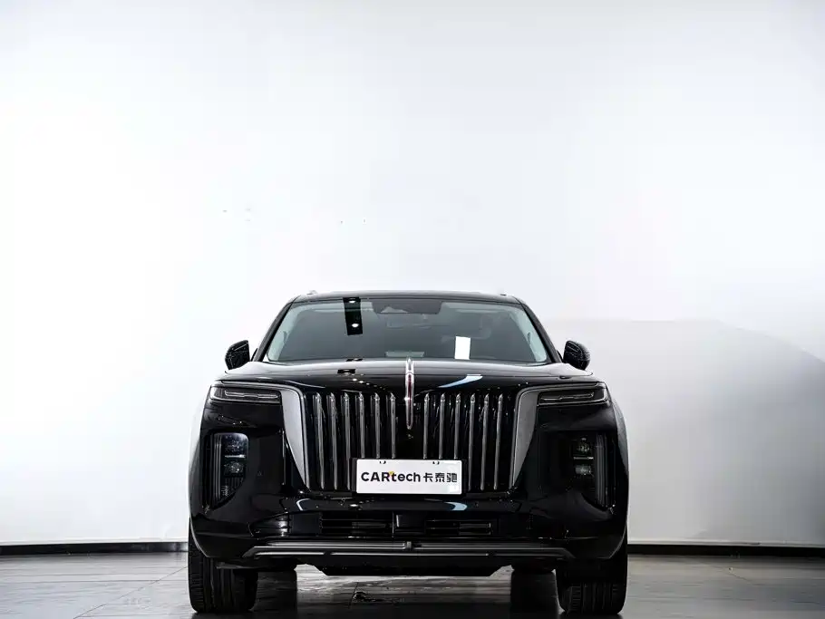 Photo 3 - Hongqi E-HS9