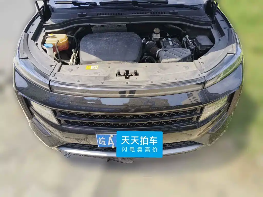 Sehol QX 2021 2021 300T DCT Premium Smart Connect