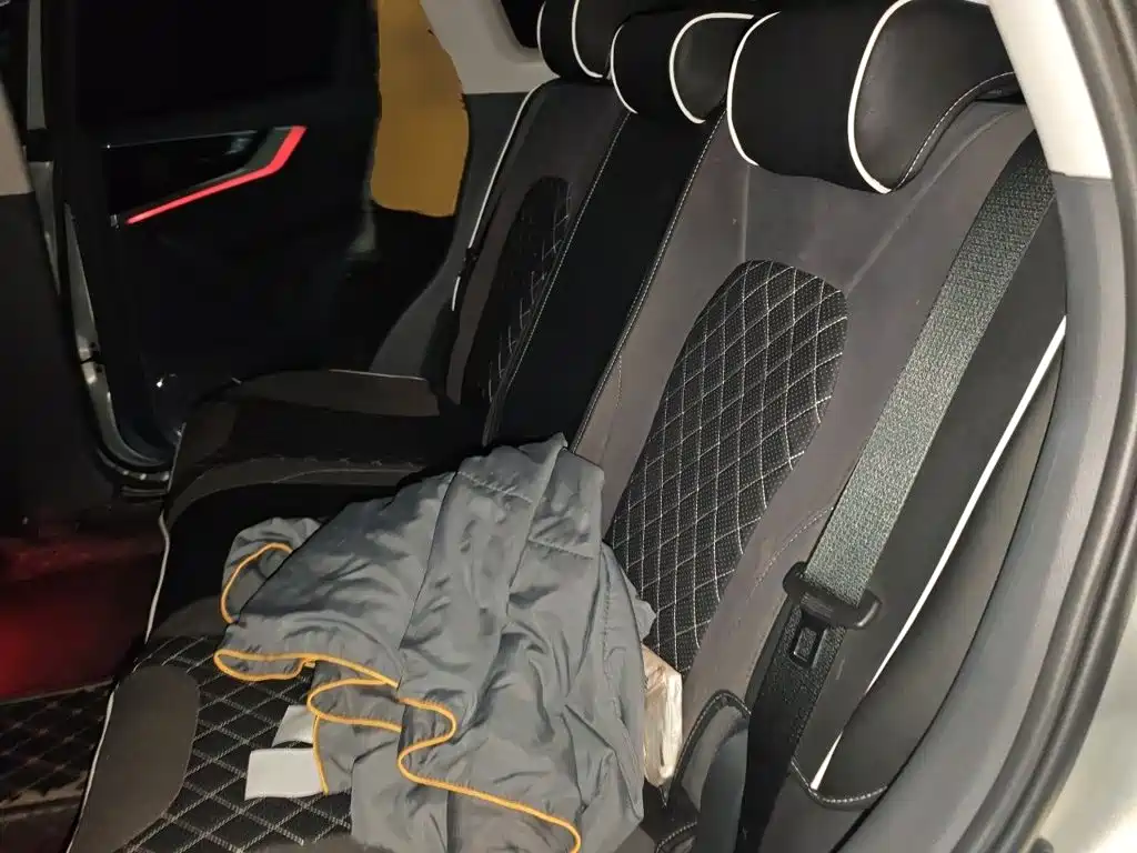 Hongqi HS5 2020 2019 2.0T Smart Connect Enjoy 4WD Edition