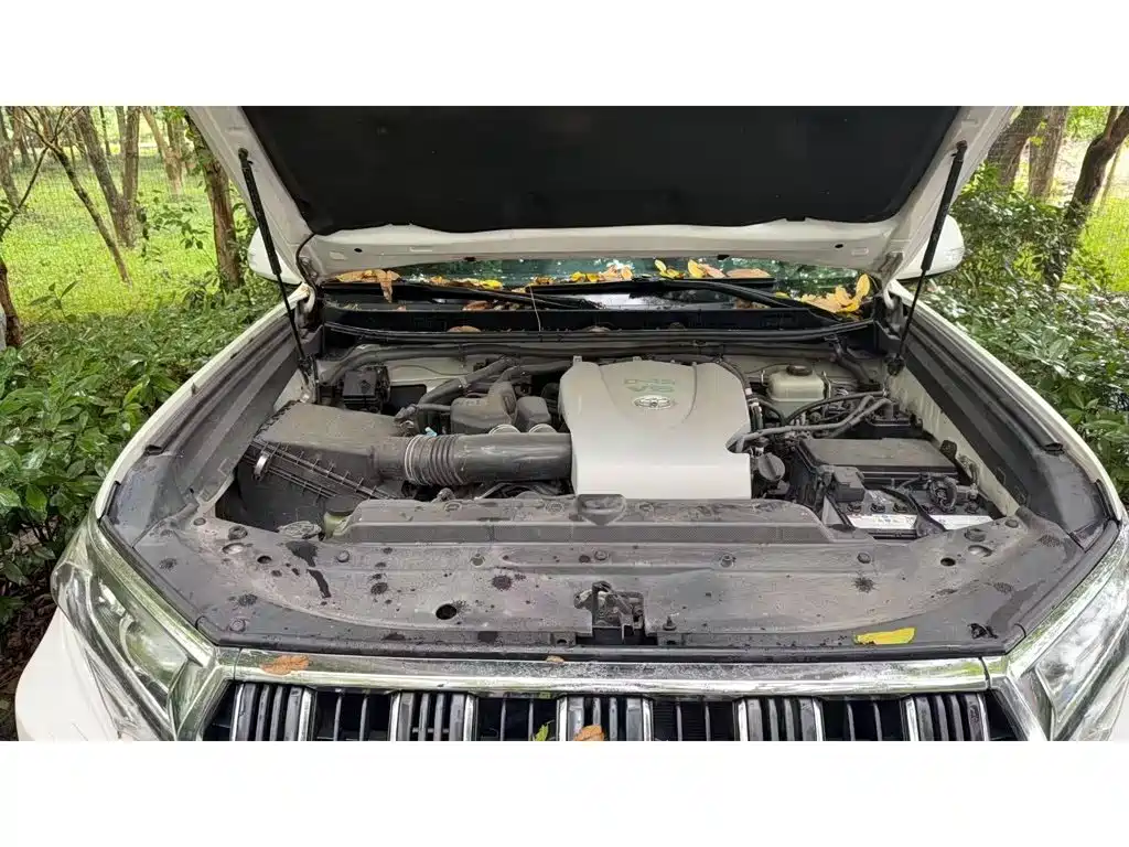 Фото 3 - Toyota Prado