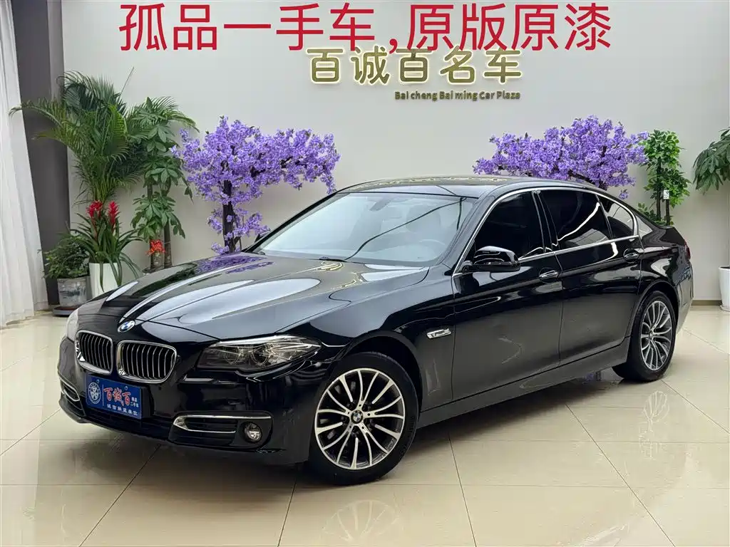 BMW 5 Series 2014 525Li Luxury Design Package