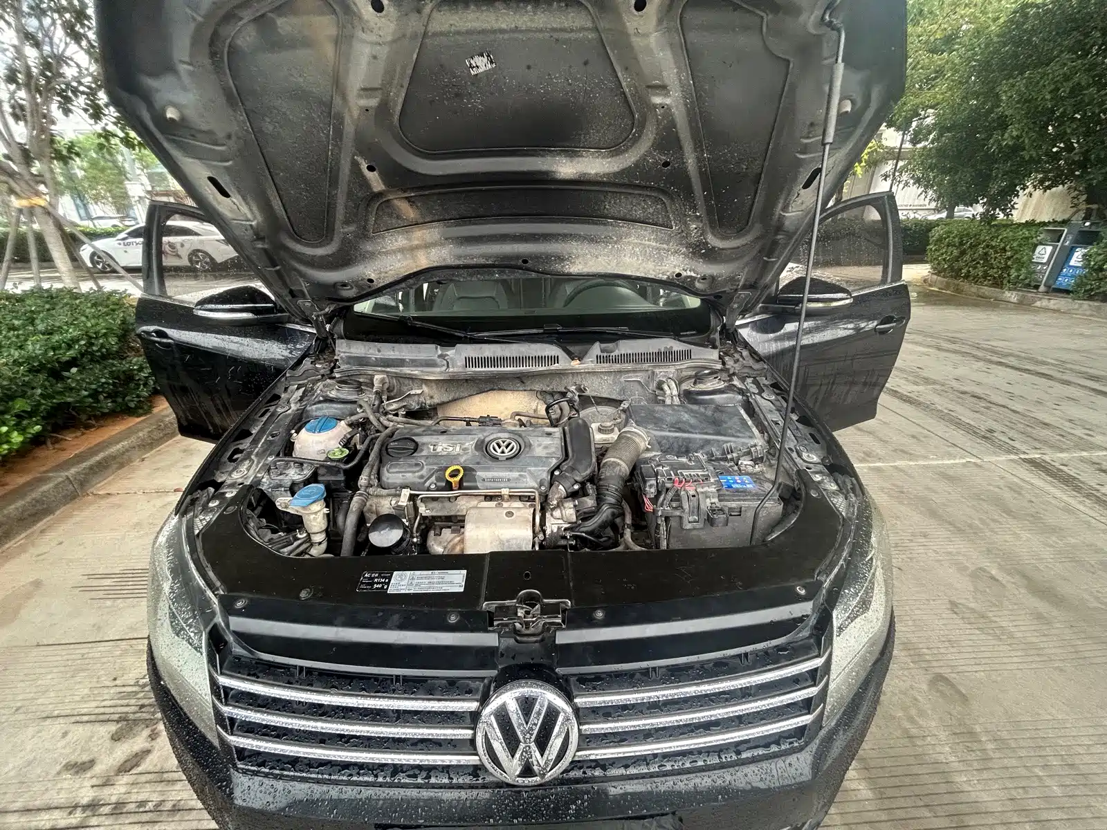 Фото 21 - Volkswagen Bora