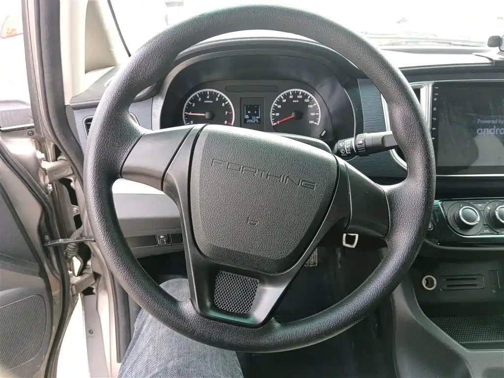 DONGFENG POPULAR LINGZHI