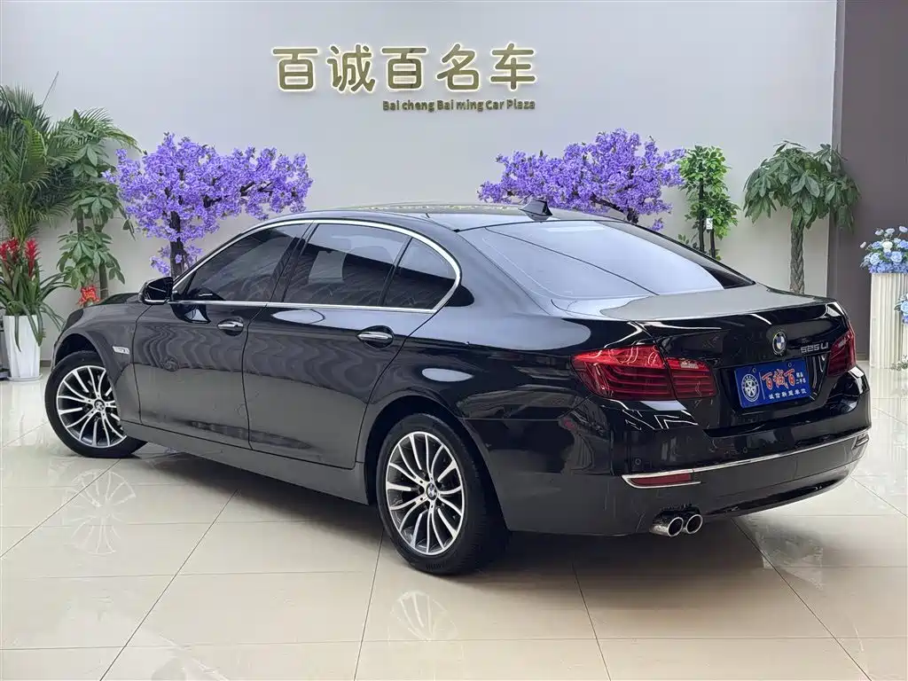 BMW 5 Series 2014 525Li Luxury Design Package фото 8