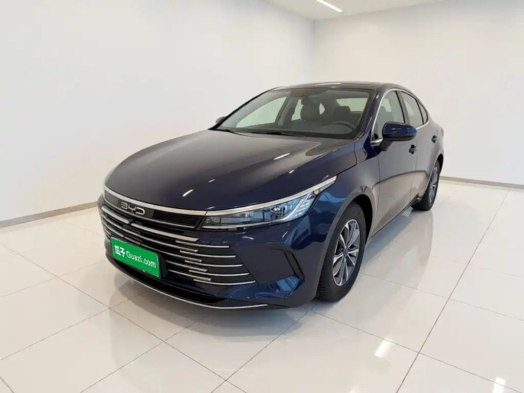 BYD Destroyer 05 2024 2024 Glory Edition DM-i 55KM Luxury