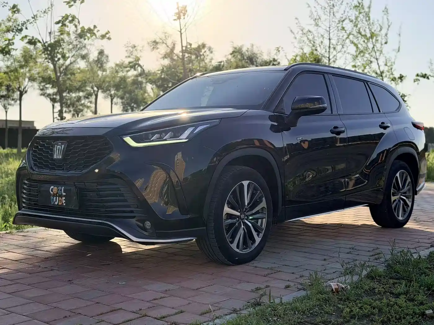 Toyota Crown Kluger 2024 2.5L HEV 4WD Premium Edition