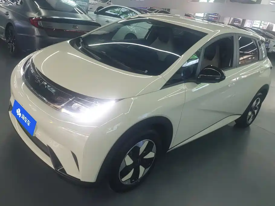 BYD Dolphin 2025 420km Freedom Edition