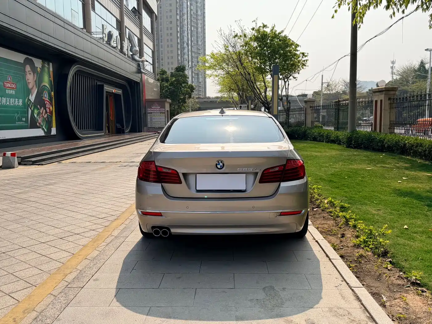 BMW 5 Series 2014 525Li Luxury Design Package фото 5