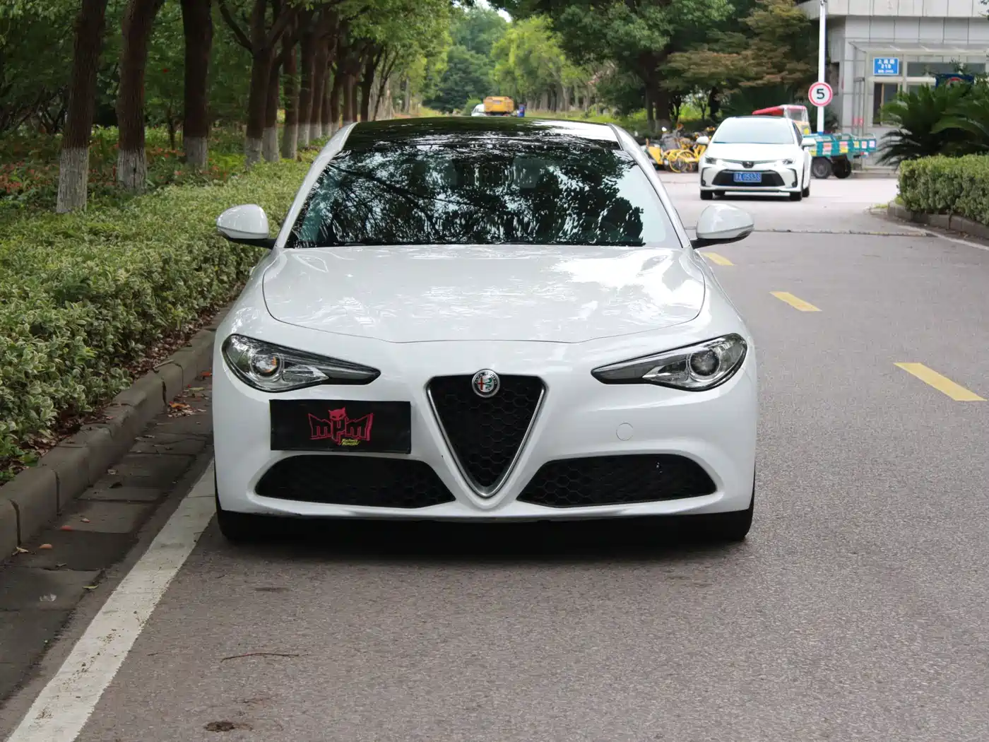Alfa Romeo Giulia 2017 2017 2.0T 280HP Luxury Edition