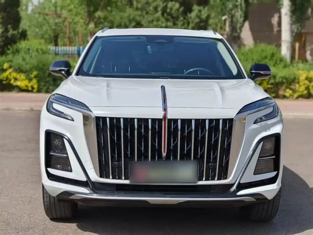 Hongqi HS3 2023 1.5T 2WD Virtue Edition фото 14