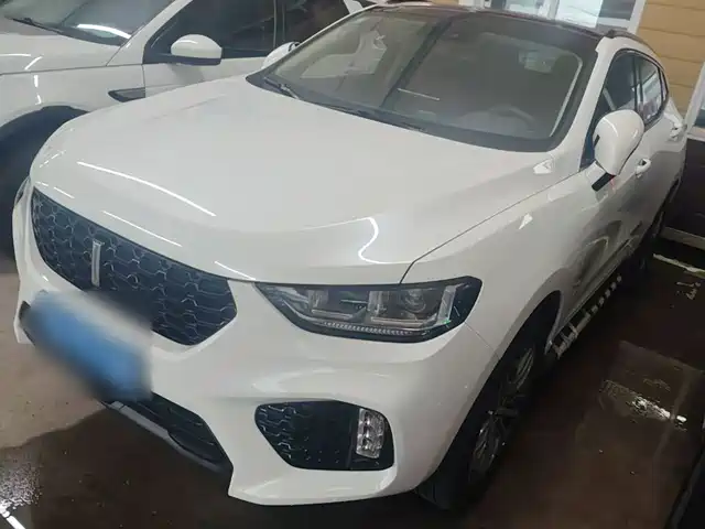 WEY VV5 2019