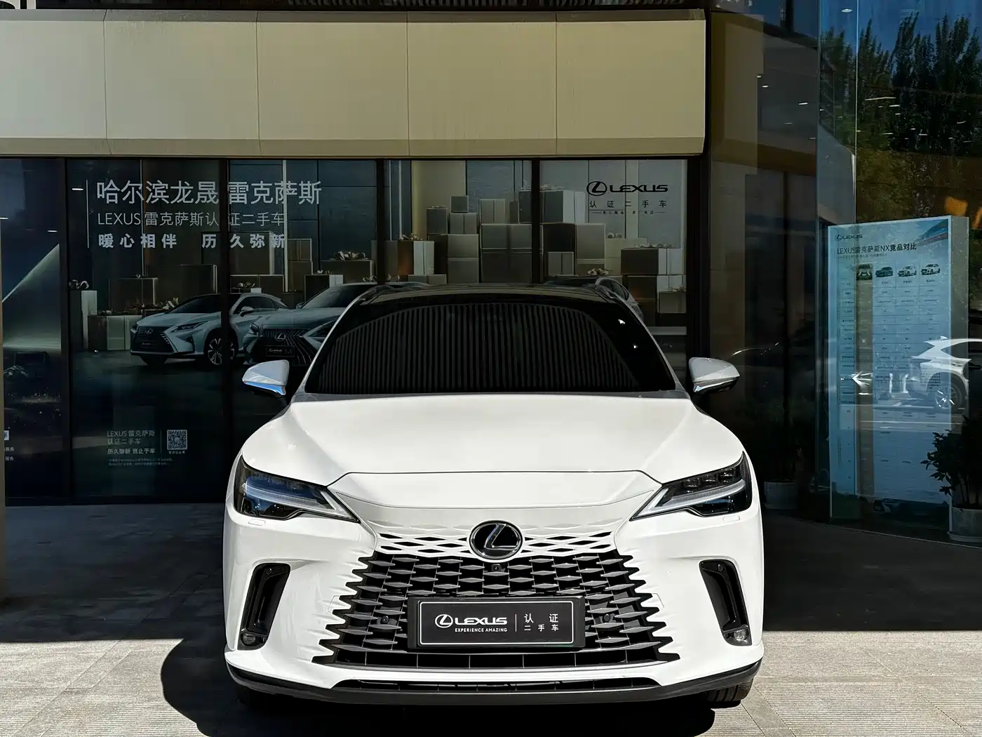 Lexus RX New Energy 2023 450h+ 4WD Enjoyment фото 2