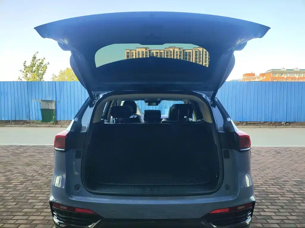 WEY Latte DHT-PHEV 2023 2022 1.5T 2WD Extra Large Cup
