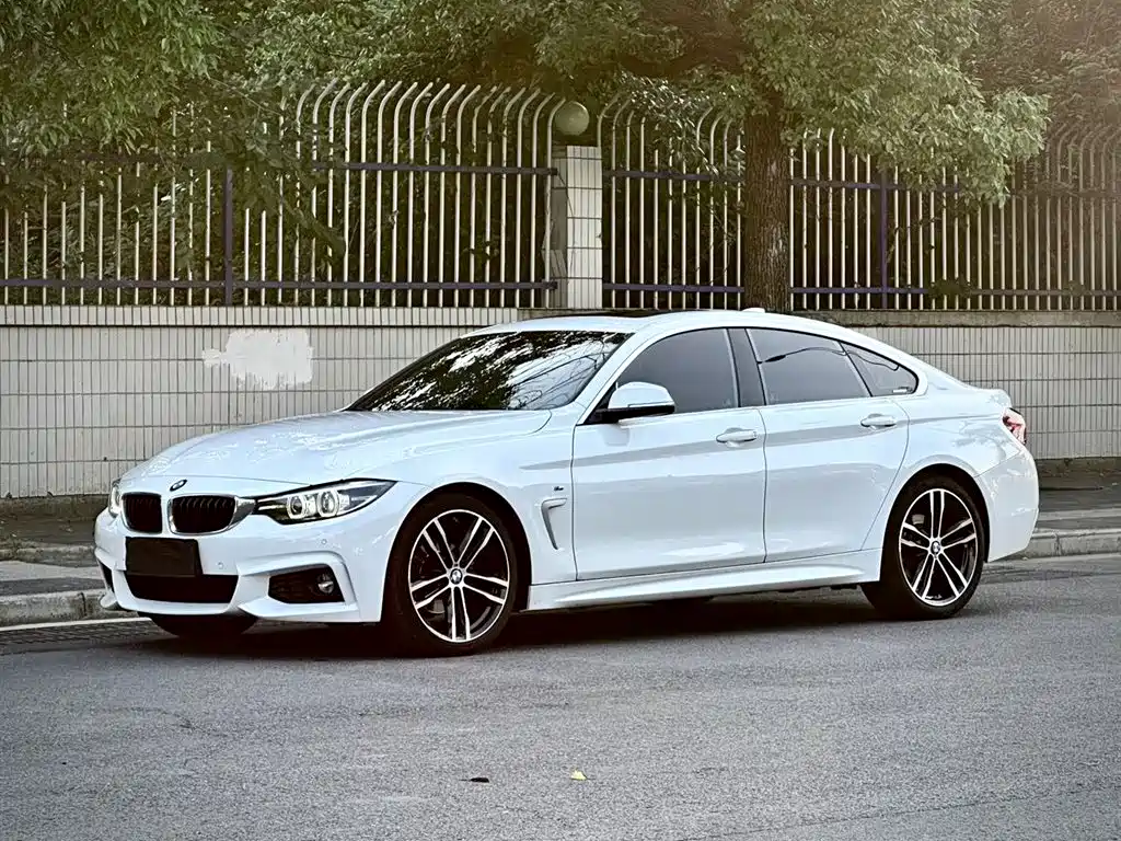 BMW 4 Series 2019 425i Gran Coupe M Sport Package