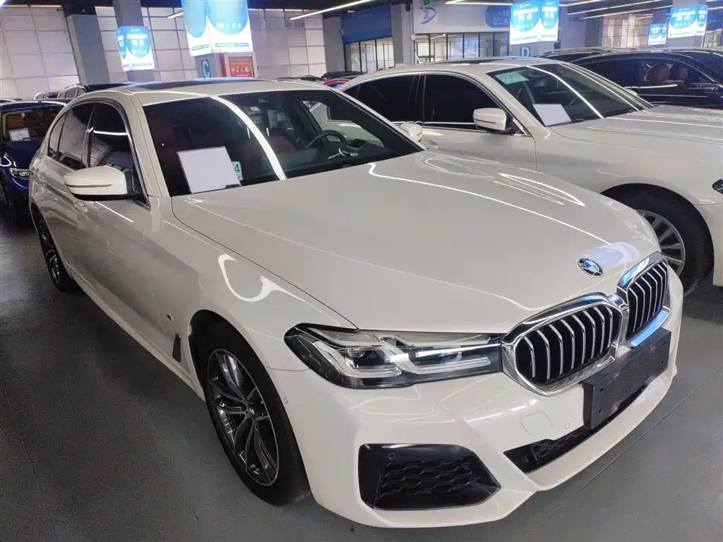 BMW 5 Series New Energy 2021 535Le M Sport Package фото 22
