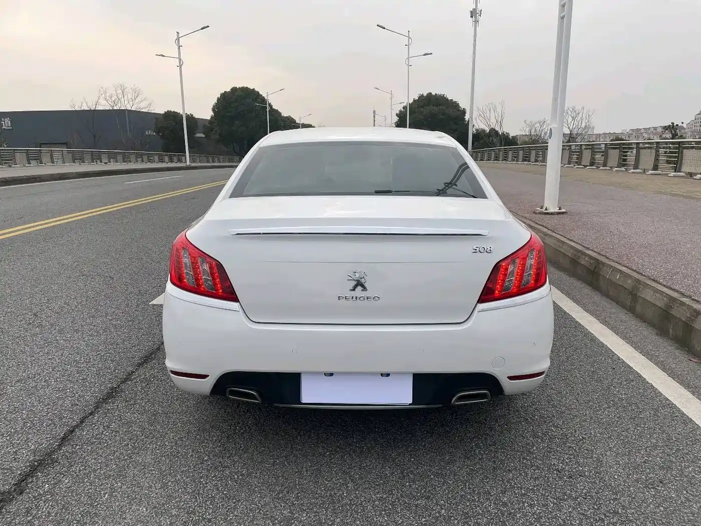Peugeot 508 2013 2.3L Roland Garros Edition фото 4