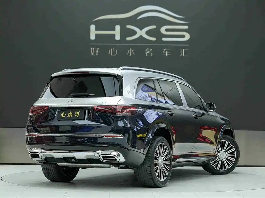 Mercedes-Benz Maybach GLS 2021 GLS 480 4MATIC фото 4