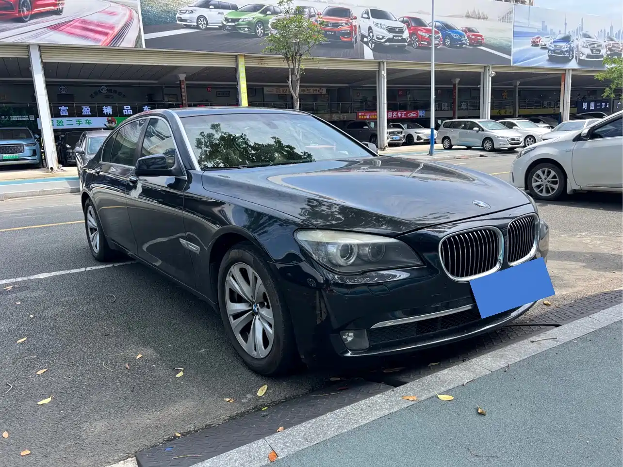BMW 7 Series 2009 730Li Leading фото 3