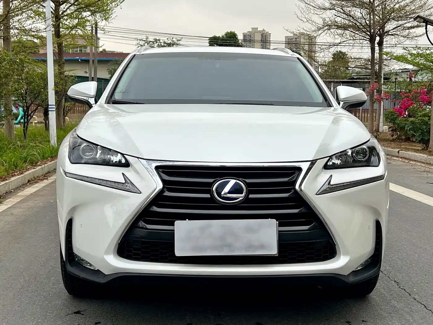 Lexus NX 2015 300h FWD Luxury фото 2