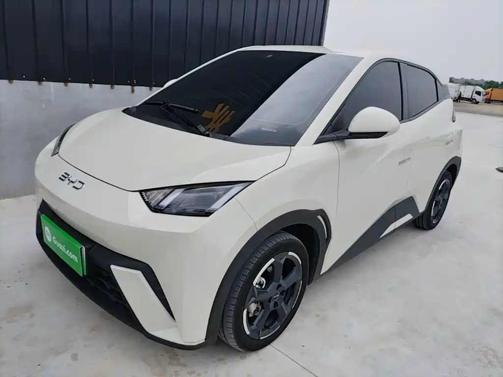 BYD Seagull 2024 Glory Edition 305km Freedom Edition