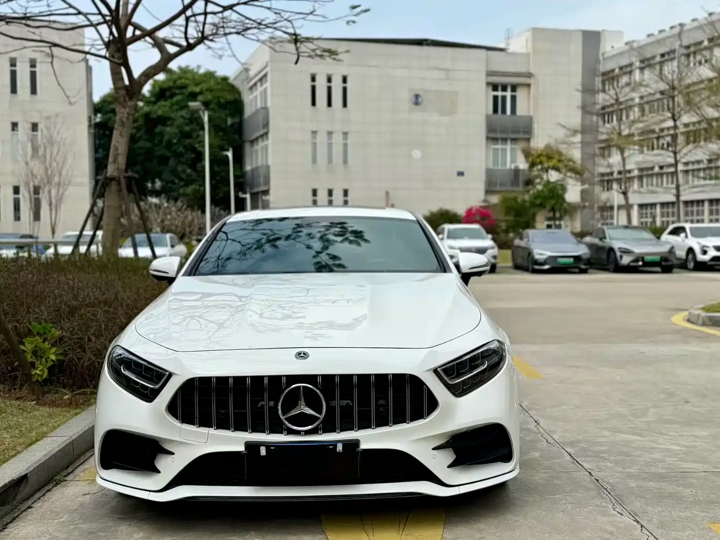 Mercedes-Benz CLS 2021 CLS 300 Luxury фото 2