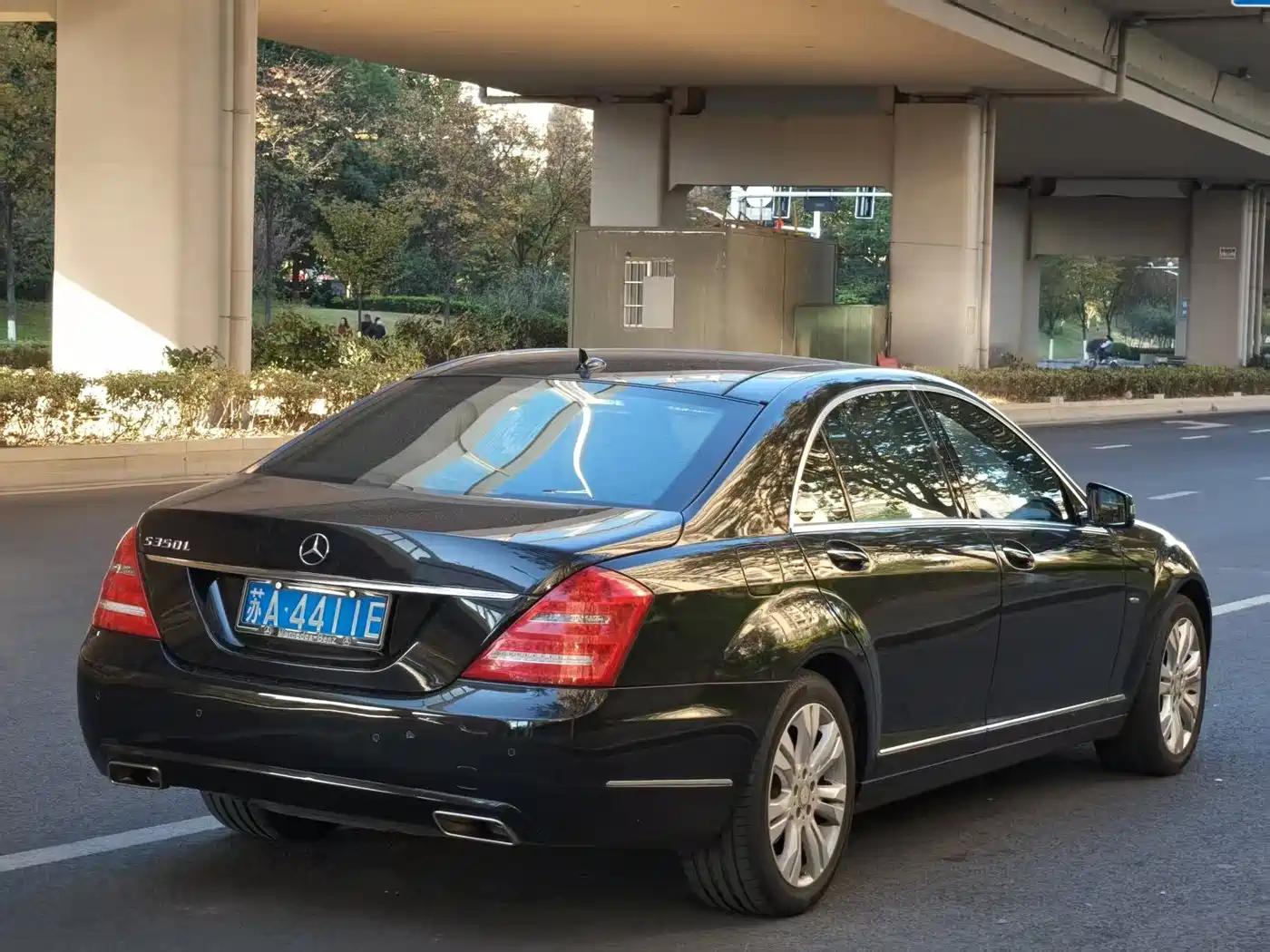 Mercedes-Benz S-Class 2012 S 350 L Grand Edition фото 20