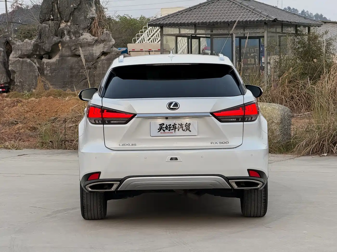 Lexus RX 2020 300 4WD Elegance Edition China VI фото 12