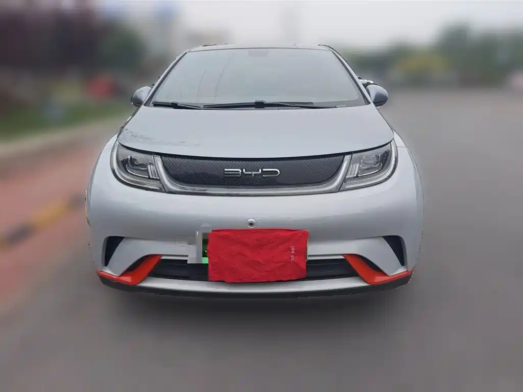 BYD Dolphin 2021 Model 405km Fashion Edition фото 24