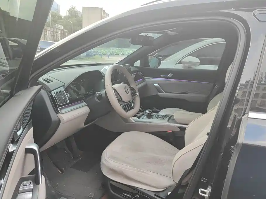 BYD Tang New Energy 2025 2025 DM-i 115KM Premium