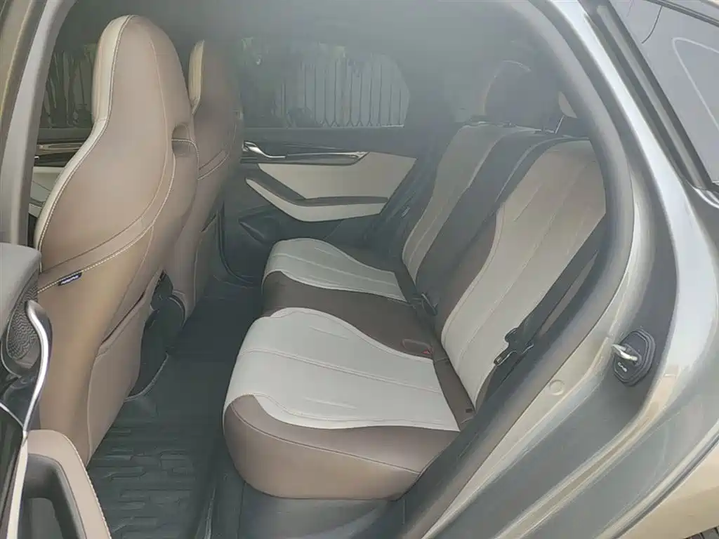 BYD Qin PLUS 2024 Glory Edition DM-i 55KM Leading фото 17