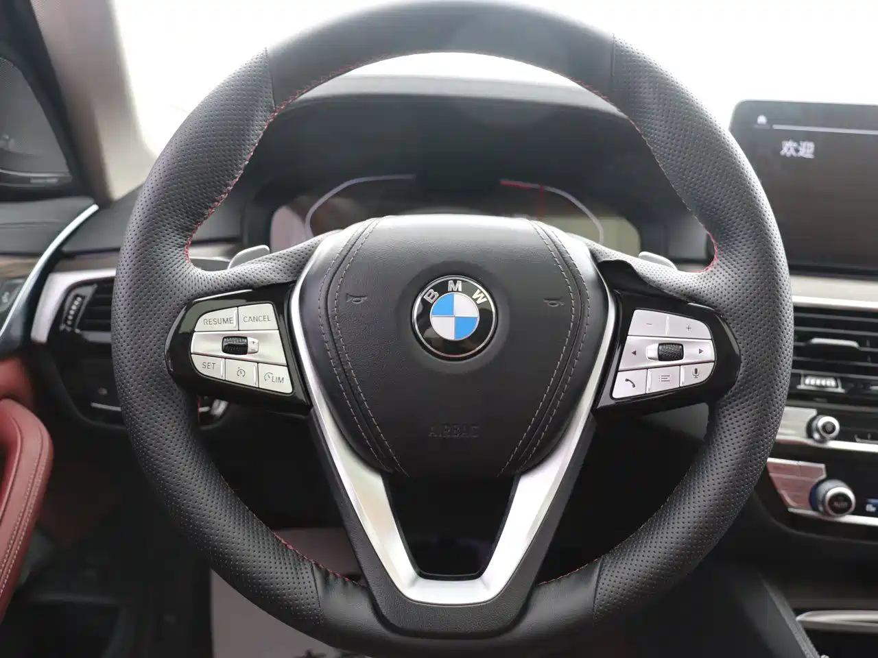 BMW 5 Series 2021 530Li Premium Luxury Package фото 10