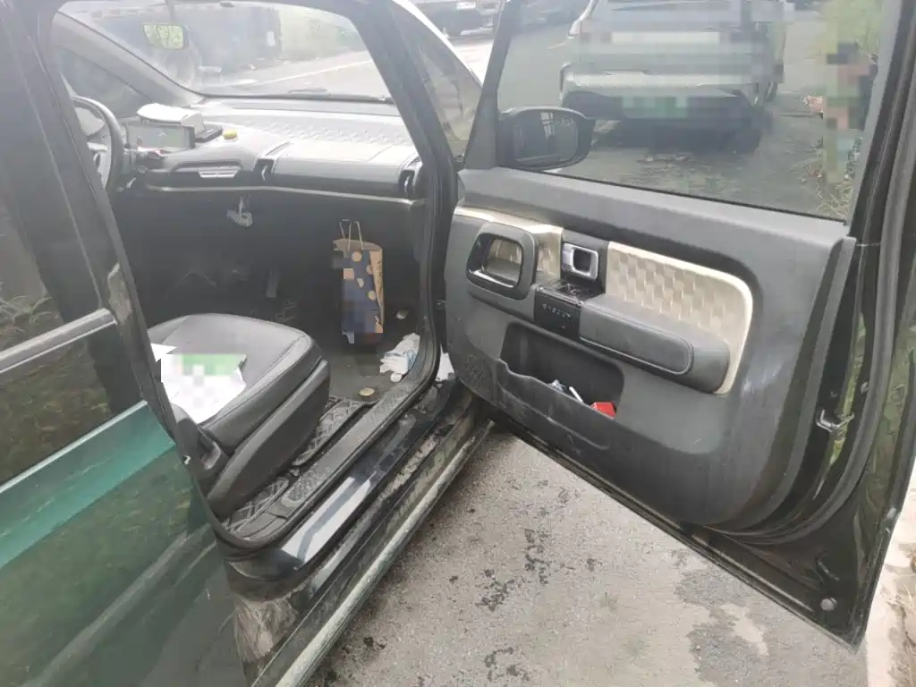 Baojun KiWi EV 2021 2021 Artist LFP