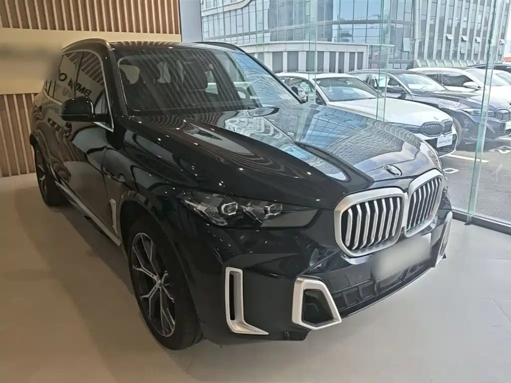 BMW X5 2023 xDrive 30Li Premium M Sport Package фото 4