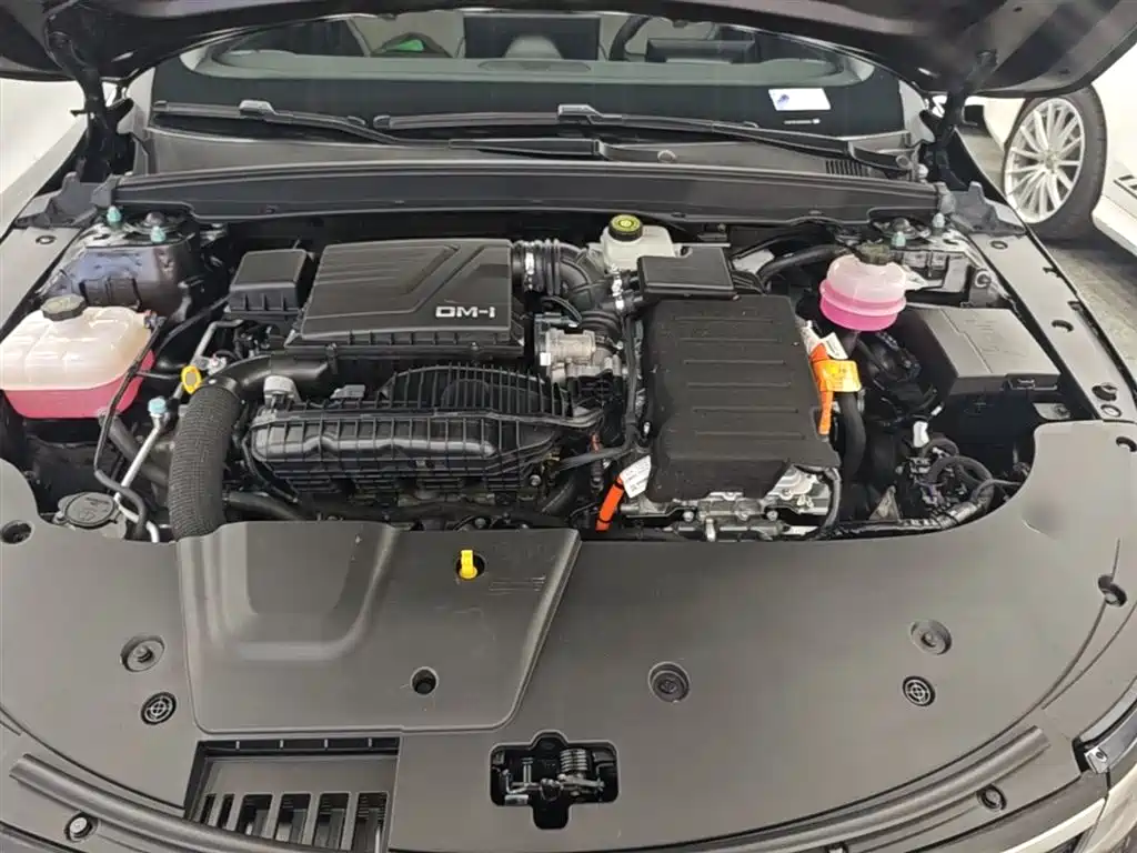 BYD Destroyer 05 2024 Glory Edition DM-i 120KM Luxury фото 20