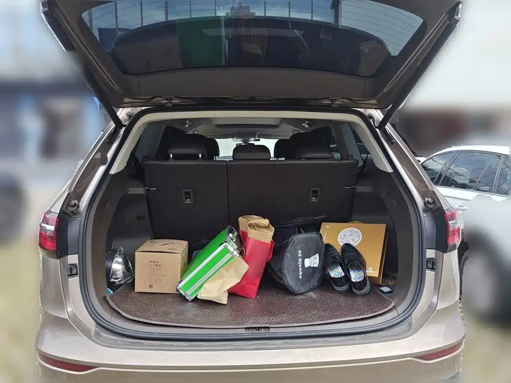 Volkswagen Viloran 2020 2020 380TSI Premium