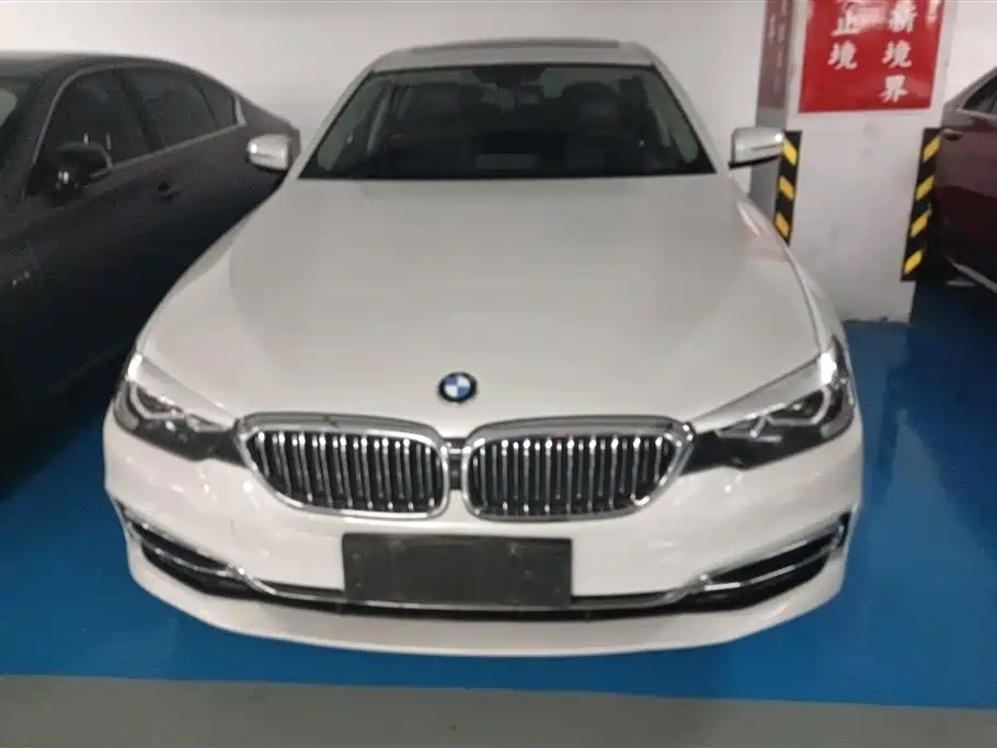 BMW 5 Series 2019 530Li Leading Luxury Package фото 2