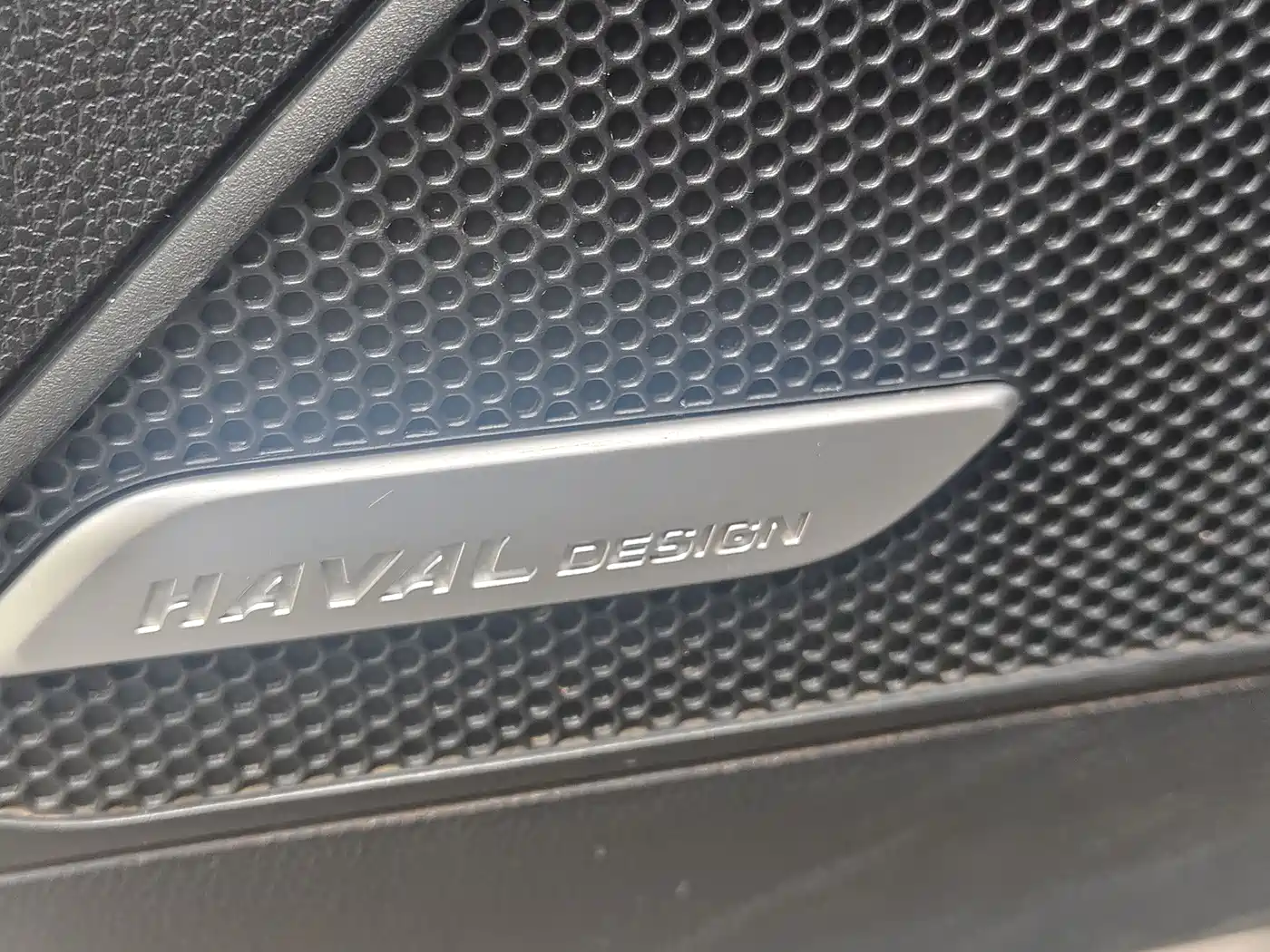 Haval Big Dog 2022 2.0T DCT AWD Howling Celestial Dog Edition фото 13