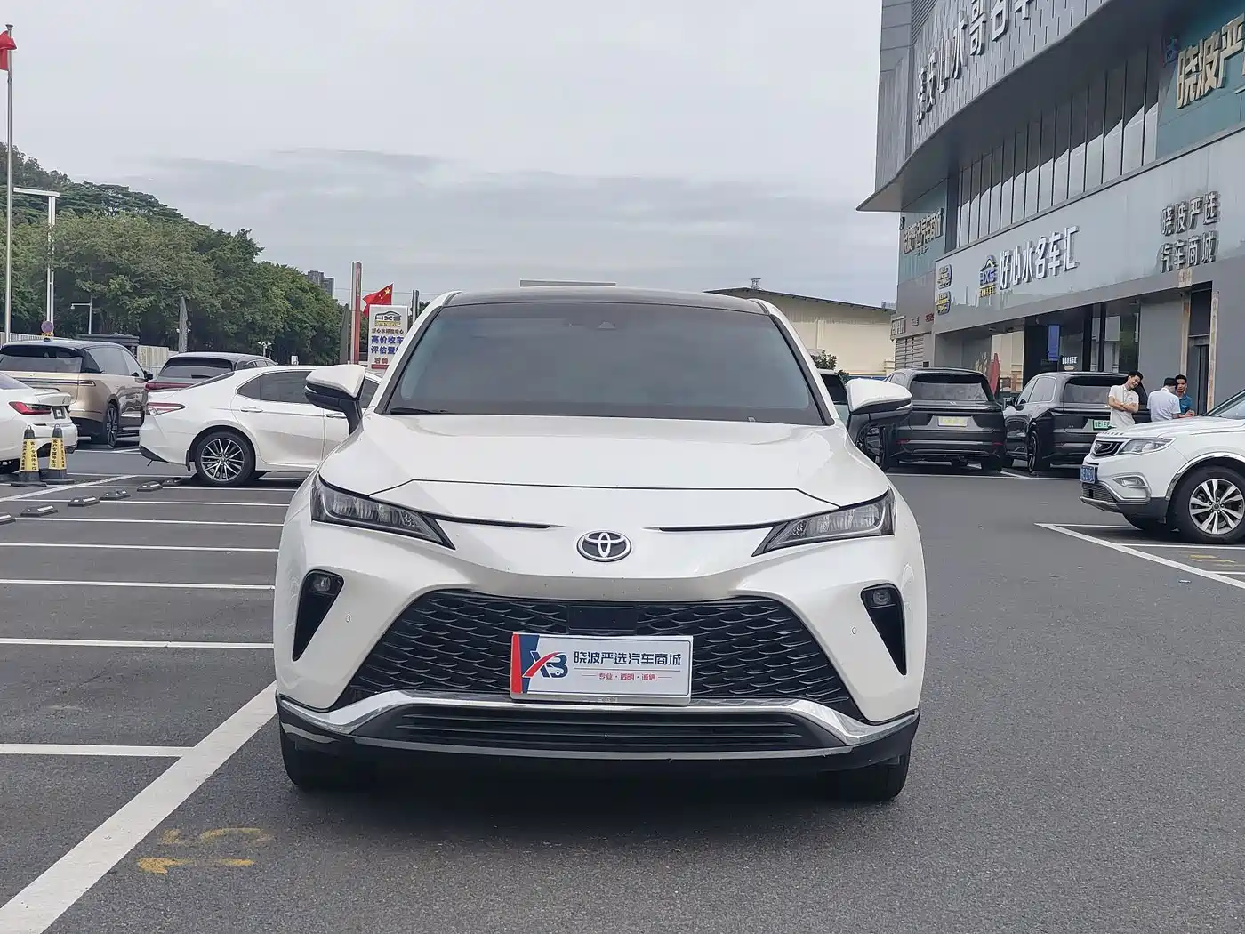 2023 Toyota Venza