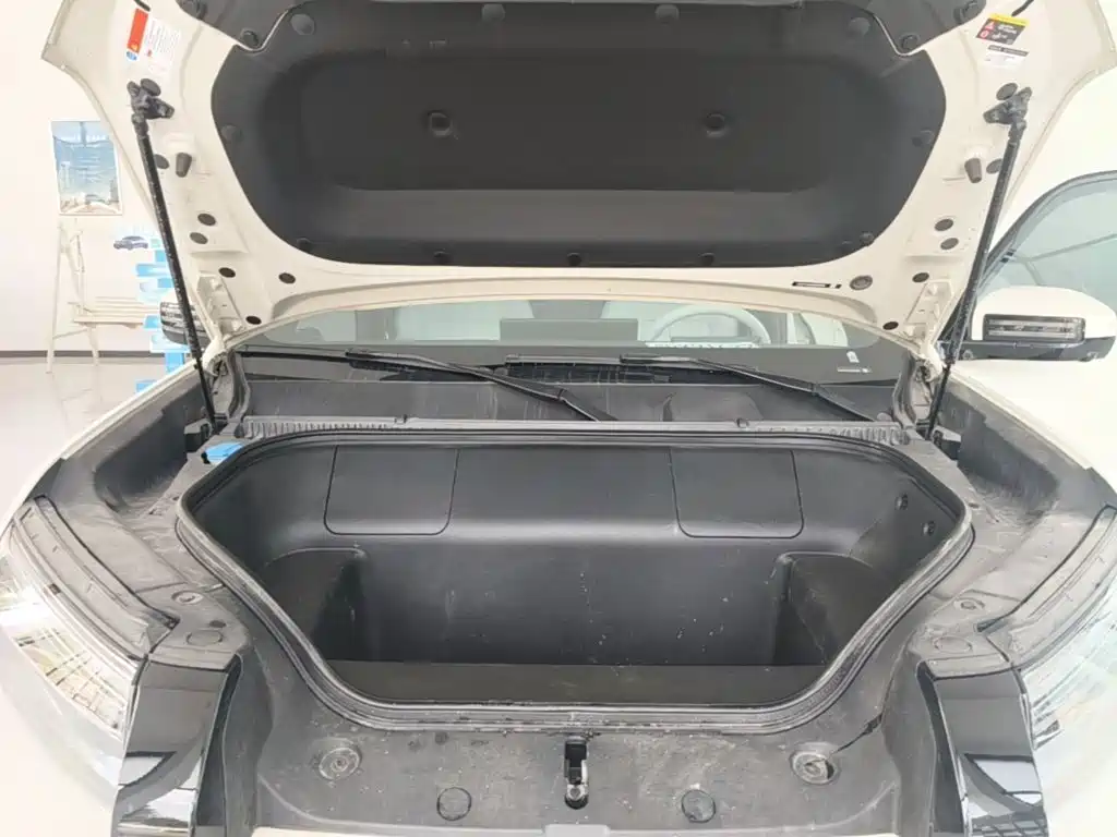 Fang Cheng Bao Titanium 3 2025 2025 501KM RWD Smart Drive Max
