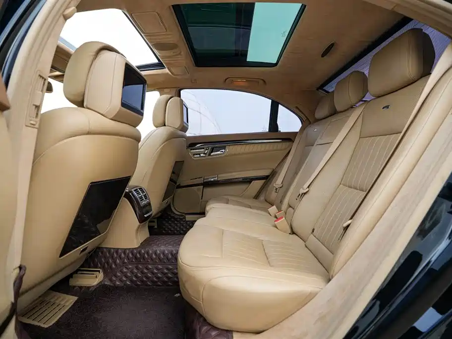Mercedes-Benz S-Class 2010 S 600 L фото 10