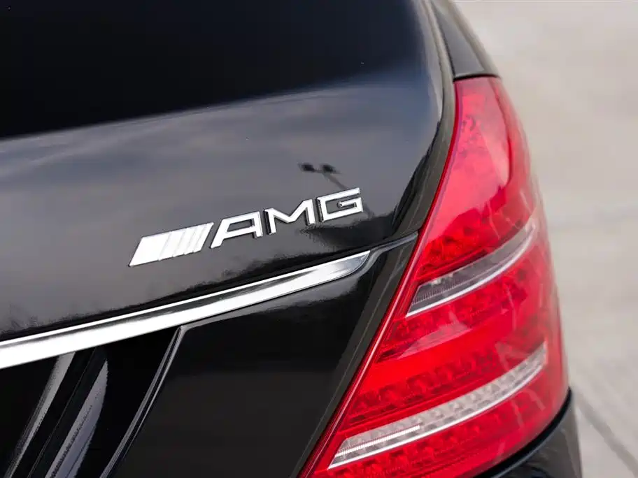 Mercedes-Benz S-Class 2010 S 600 L фото 25