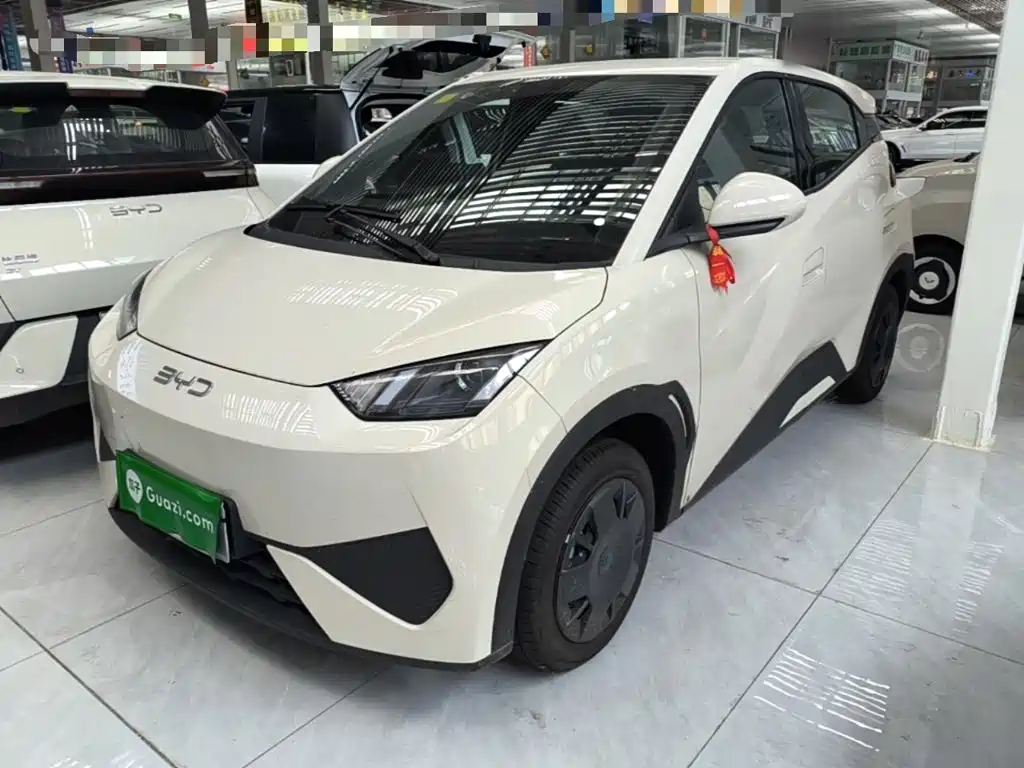 BYD Seagull 2026 2025 Smart Drive Edition 305km Vitality Version