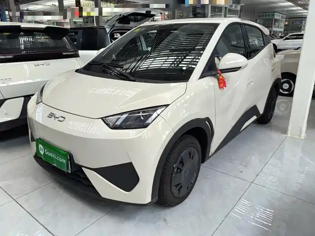BYD Seagull Система помощи водителю, 305km, Энергия