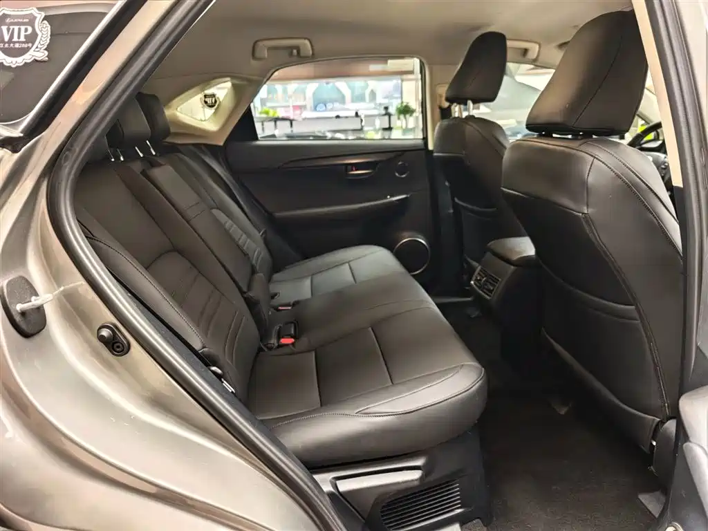 Lexus NX 2018 Model 200 FWD Fengxing Edition China V фото 12