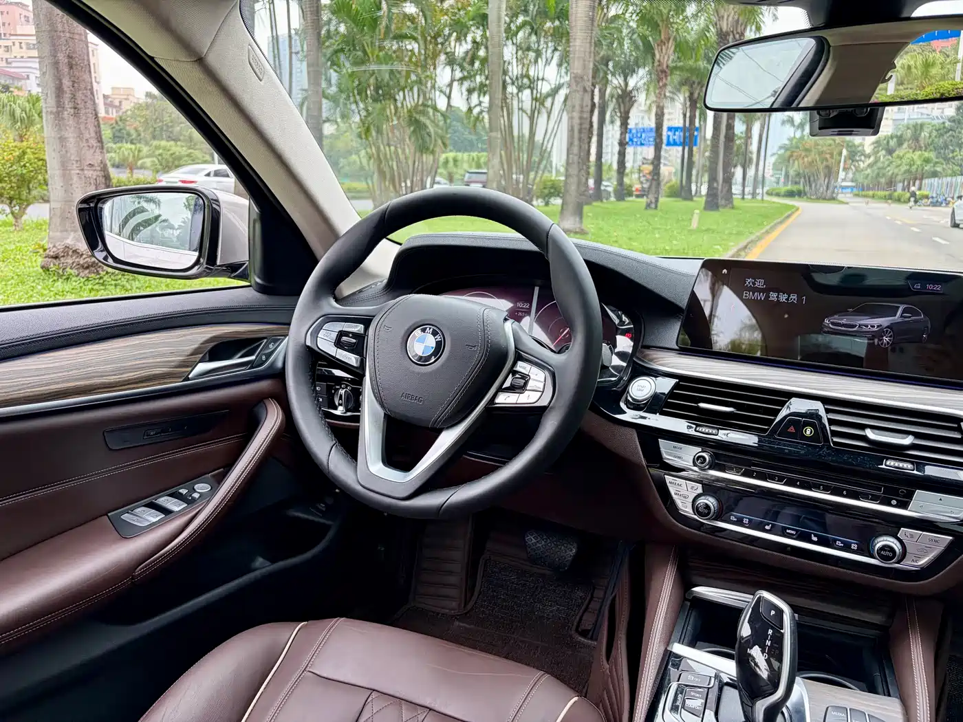 BMW 5 Series New Energy 2019 530Le Luxury Package фото 14