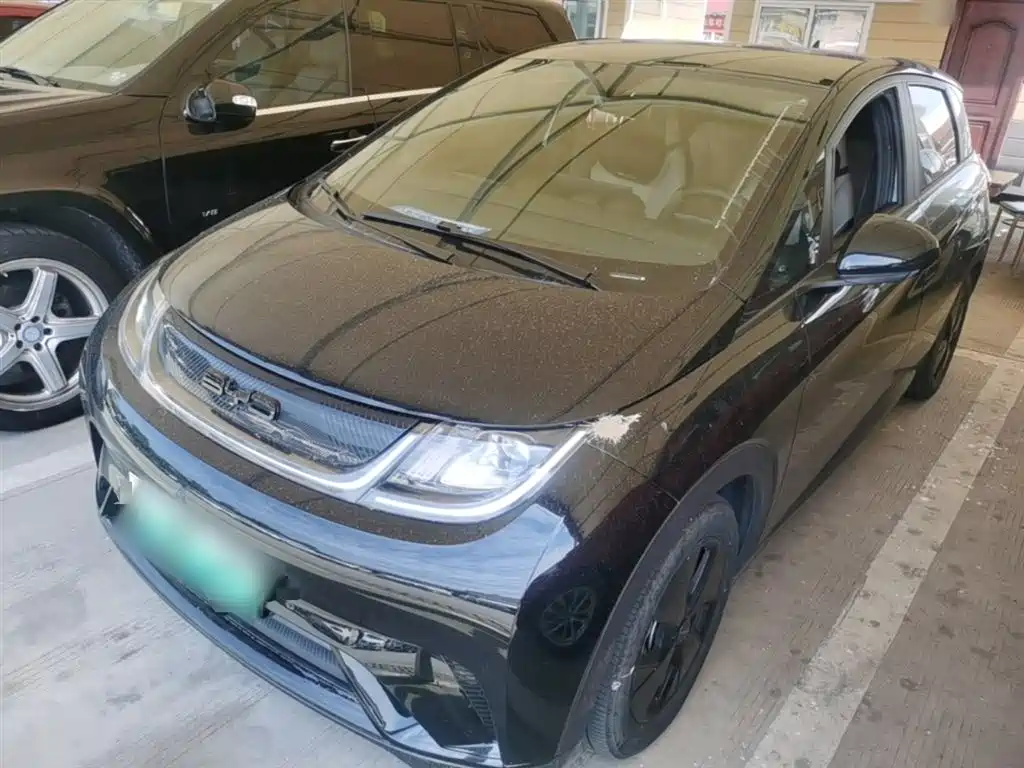 BYD Dolphin 2023 420km Fashion Edition фото 2